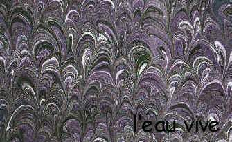 1_double peigne