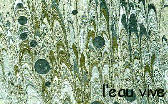 6_petit peigne tach�