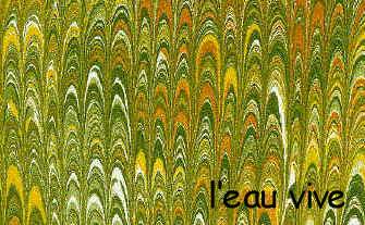 10_petit peign�