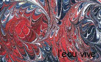 9_ coquille peign�e bleu