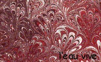 3_plume rouge